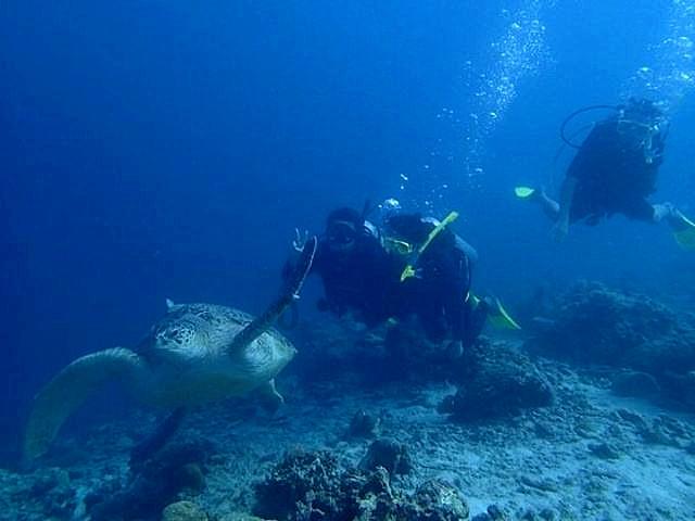 流放骑士